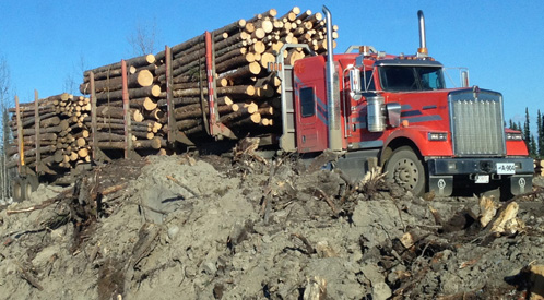  Doepker Forestry Trailers at Velocity Truck Centres Lloydminister 