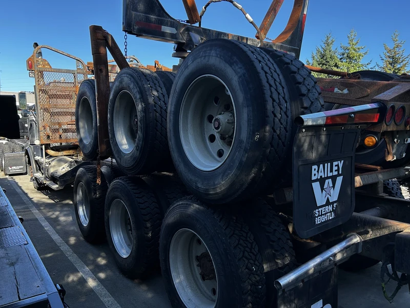 WESTERN STAR 4900SA 2006